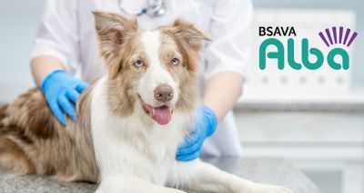 Tickets on sale for BSAVA Alba 2023